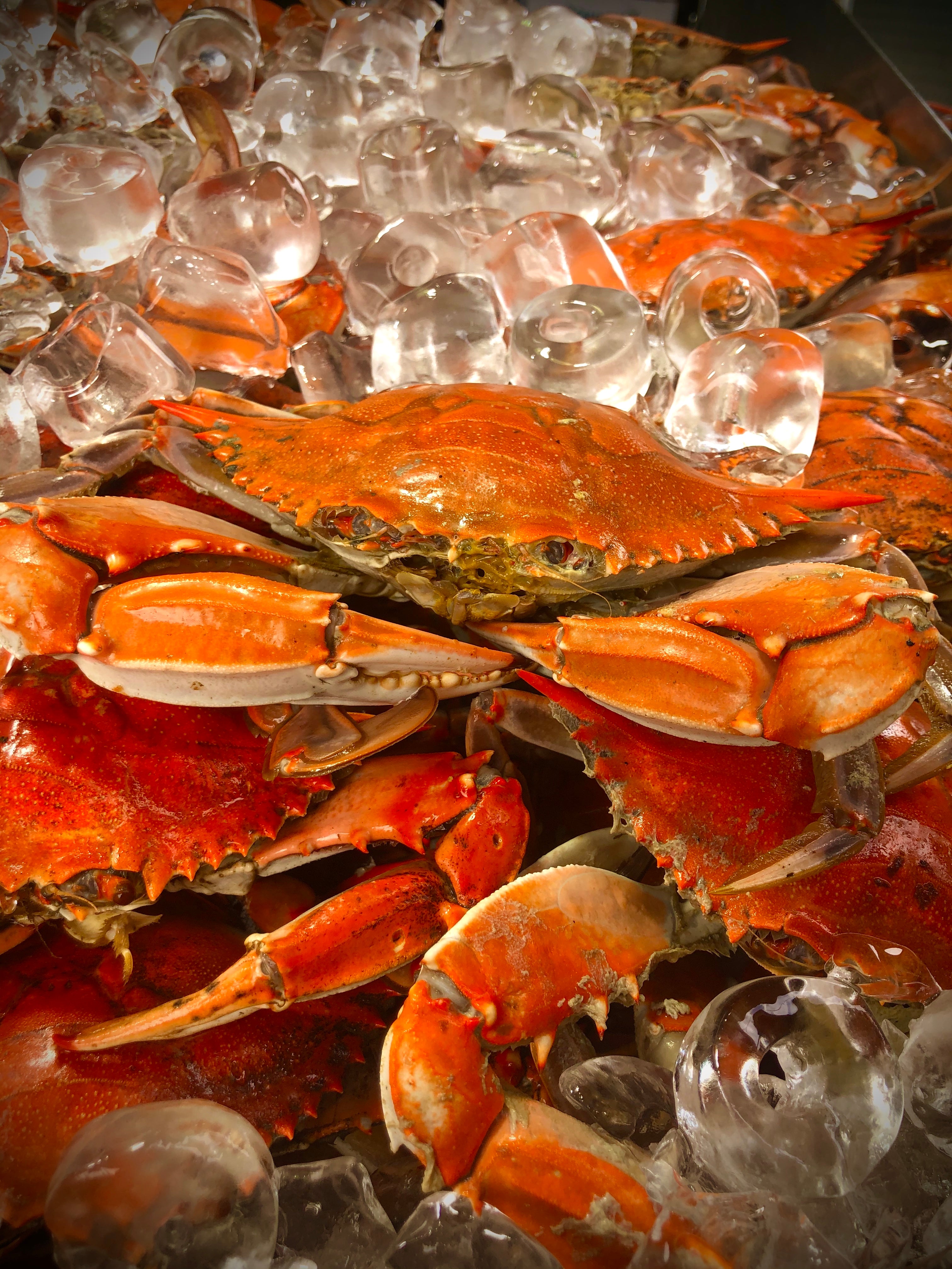 Crab Feast | The Captain's Catering – Captain White's Seafood