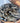 Male Blue Crabs